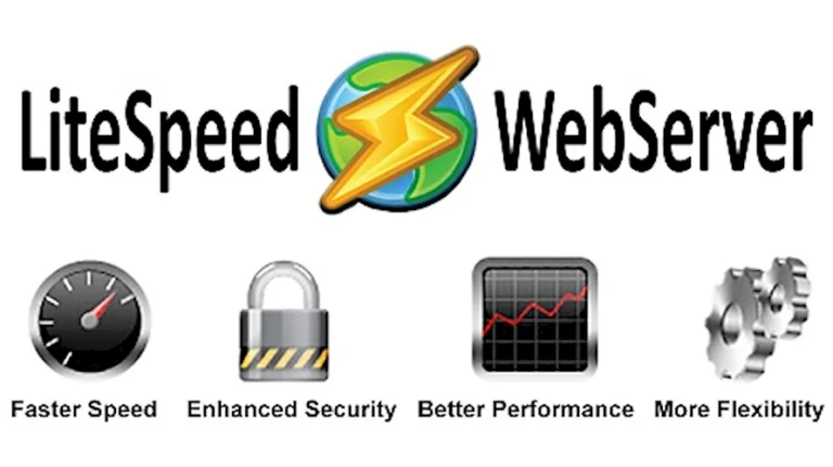Microhost Litespeed Server Overall