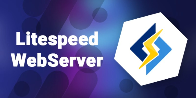 Microhost Lightspeed Webserver